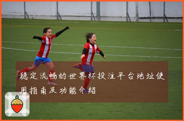 稳定流畅的世界杯投注平台地址使用指南及功能介绍